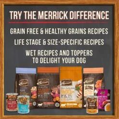 Merrick Grain-Free Wet Puppy Food Puppy Plate Beef Recipe -Blue Buffalo || ROYAL CANIN || Wellness Sales 144744 PT8. AC SS1800 V1615252620