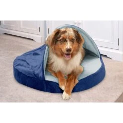 FurHaven Microvelvet Snuggery Orthopedic Cat & Dog Bed With Removable Cover -Blue Buffalo || ROYAL CANIN || Wellness Sales 145029 PT2. AC SS1800 V1693918808