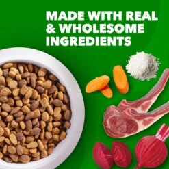 Iams Proactive Health Minichunks Small Kibble With Lamb & Rice Adult Dry Dog Food -Blue Buffalo || ROYAL CANIN || Wellness Sales 145143 PT3. AC SS1800 V1668024107