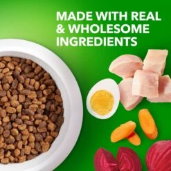 Iams Proactive Health Small & Toy Breed Puppy High Protein DHA Formula With Real Chicken Dry Dog Food -Blue Buffalo || ROYAL CANIN || Wellness Sales 145145 PT3. AC SS1800 V1668023610