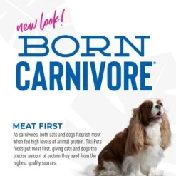 Tiki Dog Born Carnivore Savory Duck, Peas & Lentils, Baked Dry Dog Food -Blue Buffalo || ROYAL CANIN || Wellness Sales 145222 PT6. AC SS1800 V1701796308