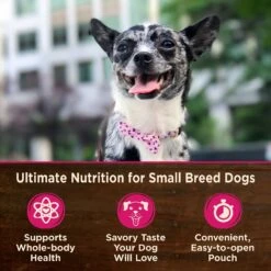 Wellness CORE Grain-Free Small Breed Mini Meals Chunky Chicken & Chicken Liver In Gravy Dog Food Pouches -Blue Buffalo || ROYAL CANIN || Wellness Sales 145506 PT2. AC SS1800 V1611763571