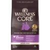 Wellness CORE Grain-Free Senior Deboned Turkey Recipe Dry Dog Food 1 Wellness CORE Grain-Free Senior Deboned Turkey Recipe Dry Dog Food -Blue Buffalo || ROYAL CANIN || Wellness Sales 145520 MAIN. AC SS1800 V1677679581