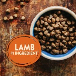 Wellness CORE Grain-Free Lamb Recipe Dry Dog Food -Blue Buffalo || ROYAL CANIN || Wellness Sales 145524 PT3. AC SS1800 V1611272787