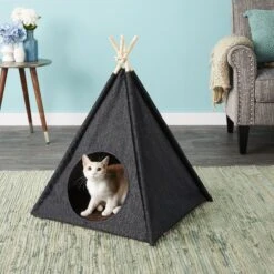P.L.A.Y. Pet Lifestyle And You Teepee Tent Covered Cat & Dog Bed -Blue Buffalo || ROYAL CANIN || Wellness Sales 145964 PT3. AC SS1800 V1566408469