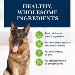 Blue Buffalo Natural Veterinary Diet GI Gastrointestinal Support Grain-Free Wet Dog Food 15 Blue Buffalo Natural Veterinary Diet GI Gastrointestinal Support Grain-Free Wet Dog Food -Blue Buffalo || ROYAL CANIN || Wellness Sales 147692 PT5. AC SS1800 V1695083988