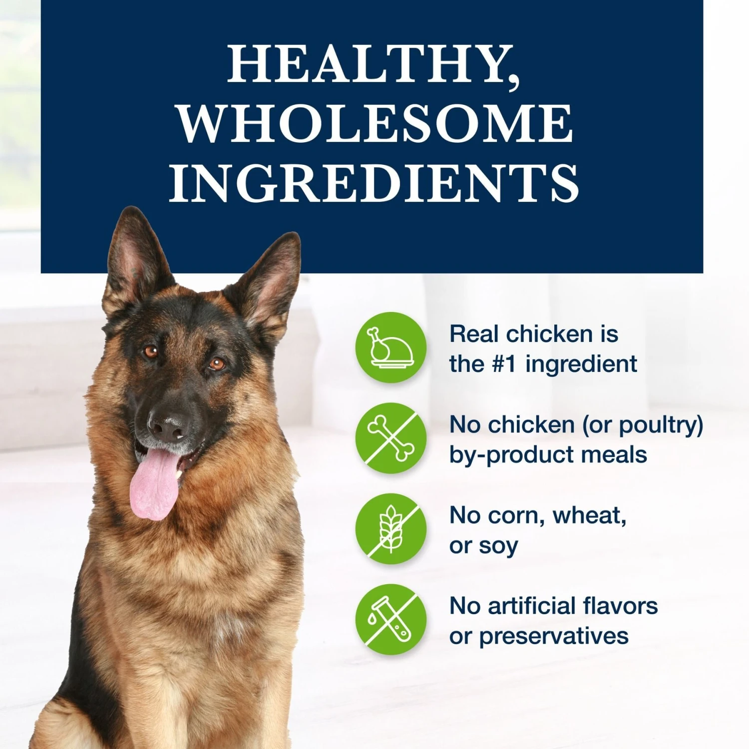 Blue Buffalo Natural Veterinary Diet GI Gastrointestinal Support Grain-Free Wet Dog Food 8 Blue Buffalo Natural Veterinary Diet GI Gastrointestinal Support Grain-Free Wet Dog Food - Image 6