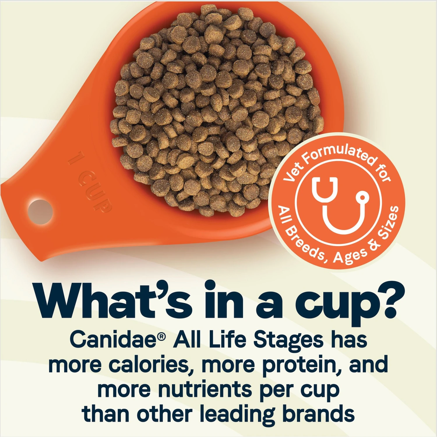 CANIDAE All Life Stages Chicken Meal & Rice Formula Dry Dog Food 6 CANIDAE All Life Stages Chicken Meal & Rice Formula Dry Dog Food - Image 4