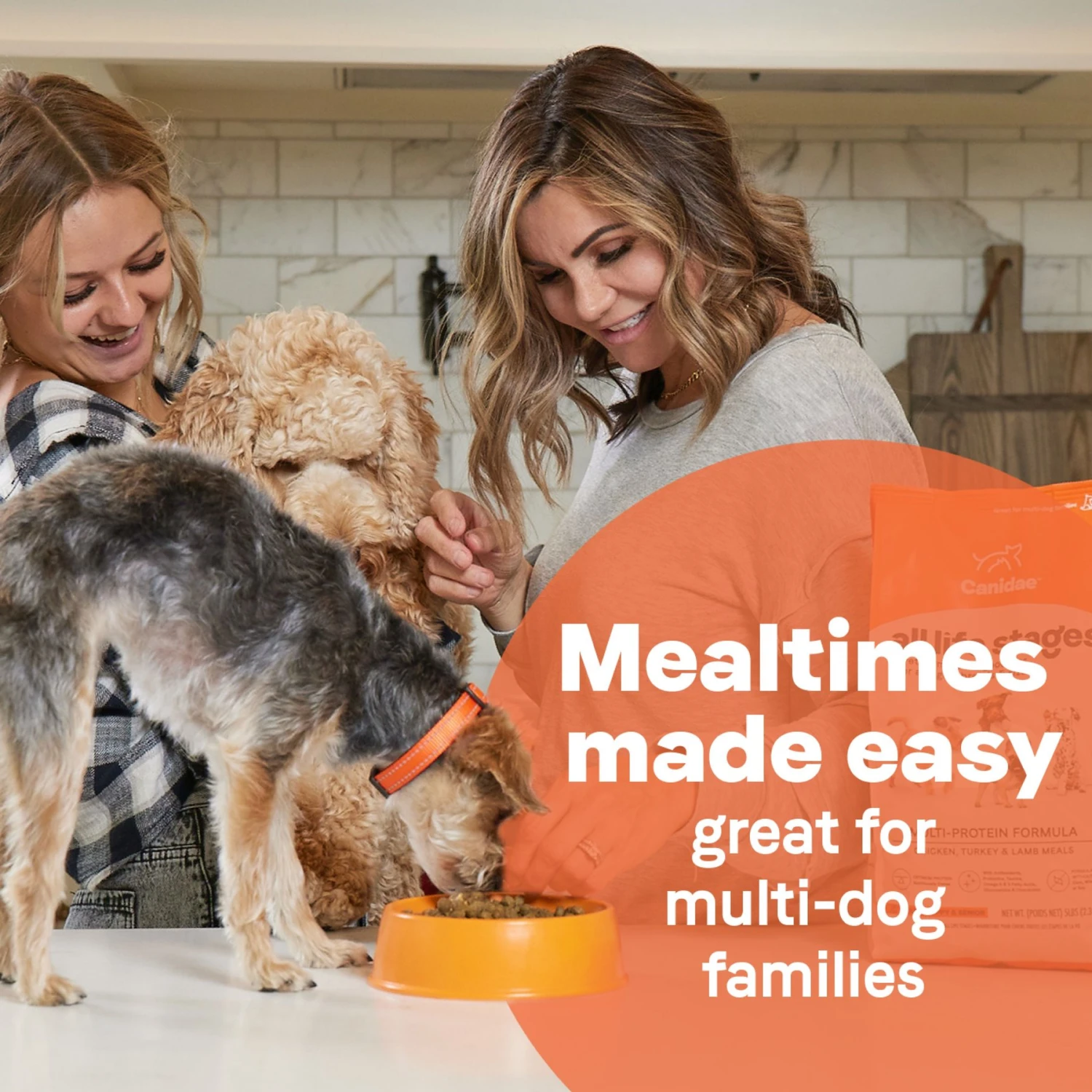 CANIDAE All Life Stages Chicken Meal & Rice Formula Dry Dog Food 8 CANIDAE All Life Stages Chicken Meal & Rice Formula Dry Dog Food - Image 6