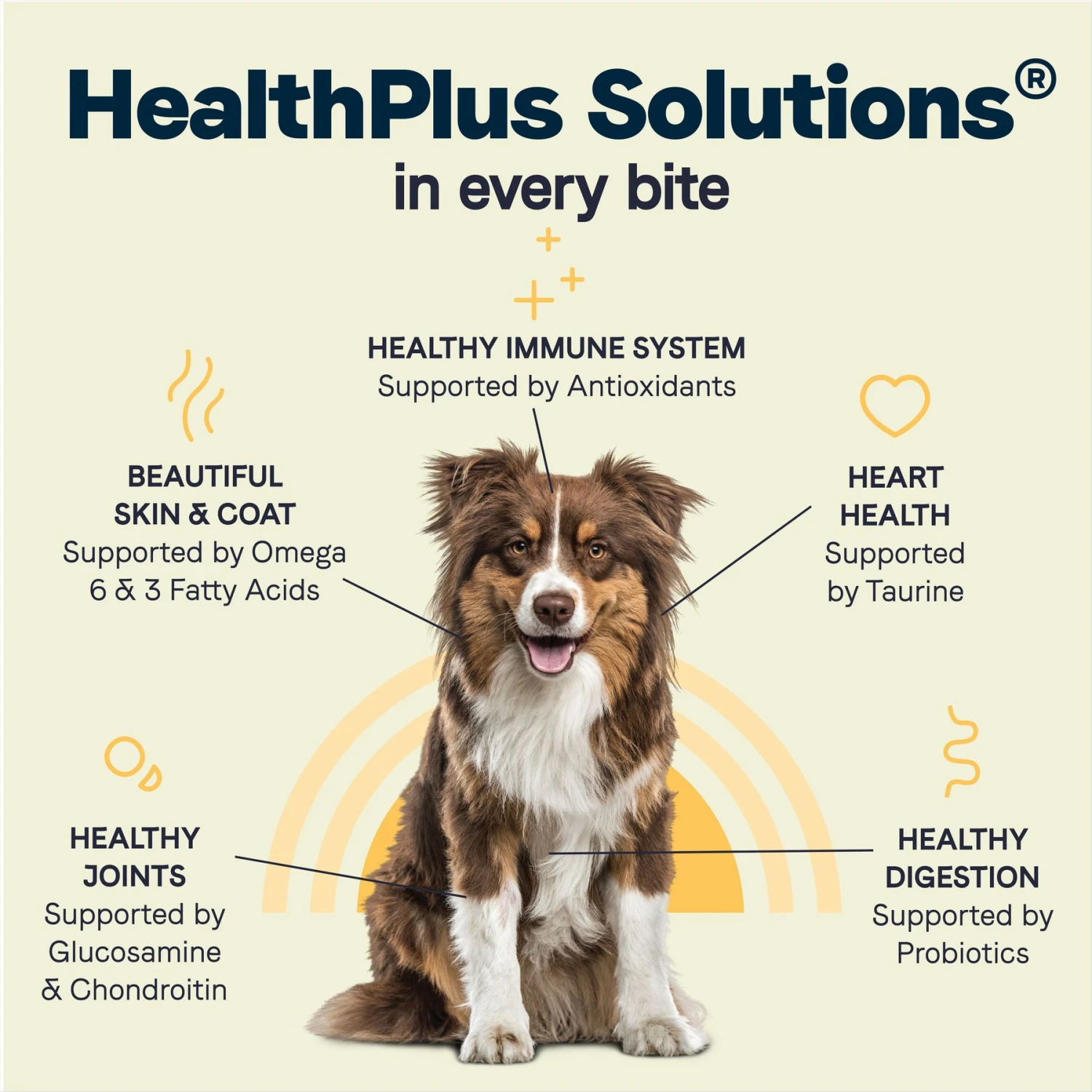 CANIDAE All Life Stages Chicken Meal & Rice Formula Dry Dog Food 9 CANIDAE All Life Stages Chicken Meal & Rice Formula Dry Dog Food - Image 7