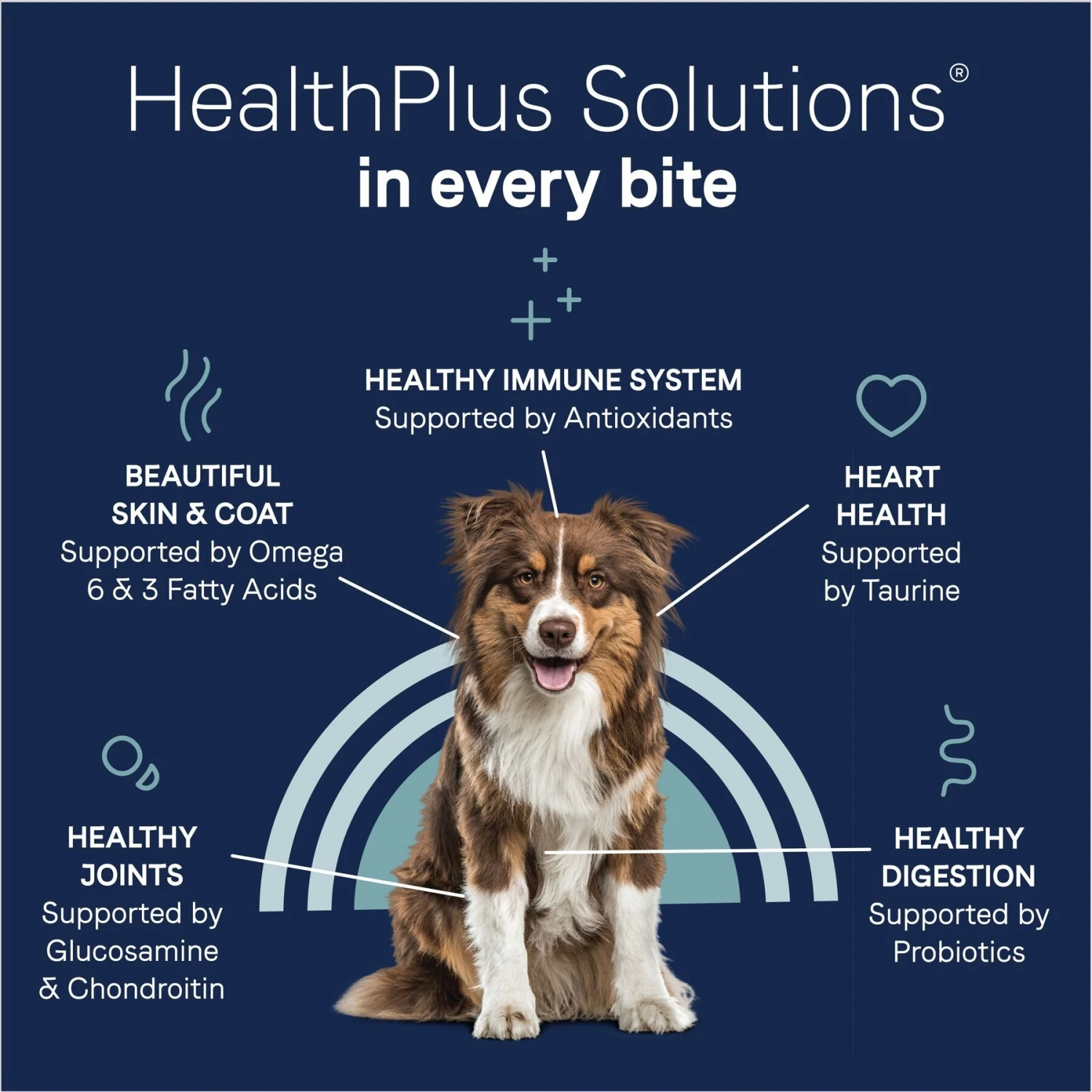 CANIDAE Grain-Free PURE Limited Ingredient Lamb, Goat & Venison Meals Recipe Dry Dog Food 9 CANIDAE Grain-Free PURE Limited Ingredient Lamb, Goat & Venison Meals Recipe Dry Dog Food - Image 7