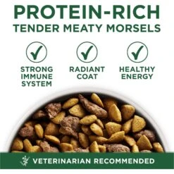 Purina ONE +Plus Adult Small Breed Lamb & Rice Formula Dry Dog Food 13 Purina ONE +Plus Adult Small Breed Lamb & Rice Formula Dry Dog Food -Blue Buffalo || ROYAL CANIN || Wellness Sales 148609 PT2. AC SS1800 V1686062870