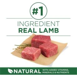 Purina ONE +Plus Adult Small Breed Lamb & Rice Formula Dry Dog Food 14 Purina ONE +Plus Adult Small Breed Lamb & Rice Formula Dry Dog Food -Blue Buffalo || ROYAL CANIN || Wellness Sales 148609 PT3. AC SS1800 V1686062868