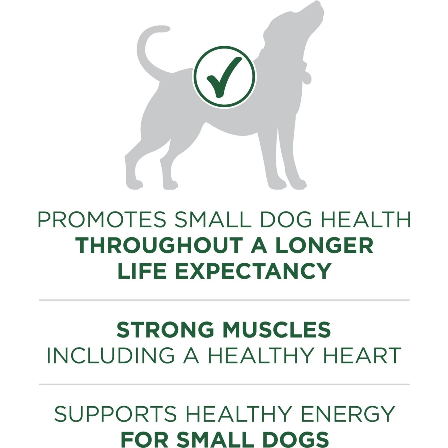 Purina ONE +Plus Adult Small Breed Lamb & Rice Formula Dry Dog Food 7 Purina ONE +Plus Adult Small Breed Lamb & Rice Formula Dry Dog Food - Image 5