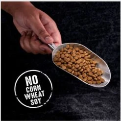 Crave High Protein Beef Adult Grain-Free Dry Dog Food -Blue Buffalo || ROYAL CANIN || Wellness Sales 149517 PT2. AC SS1800 V1688756932