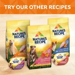 Nature's Recipe Original Grain-Free Variety Pack Wet Dog Food -Blue Buffalo || ROYAL CANIN || Wellness Sales 149734 PT6. AC SS1800 V1683308709