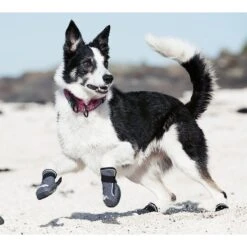 Hurtta Outback Dog Boots, 2 Count -Blue Buffalo || ROYAL CANIN || Wellness Sales 150054 PT3. AC SS1800 V1534454523