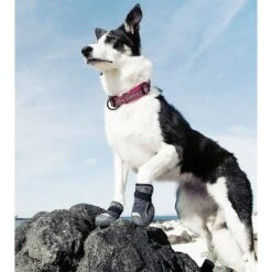 Hurtta Outback Dog Boots, 2 Count -Blue Buffalo || ROYAL CANIN || Wellness Sales 150054 PT6. AC SS1800 V1534454534