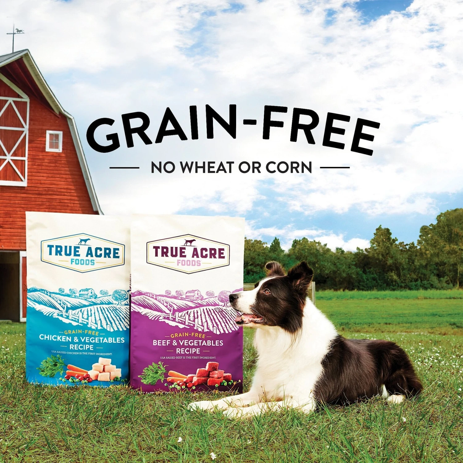 True Acre Foods Grain-Free Chicken & Vegetable Dry Dog Food 8 True Acre Foods Grain-Free Chicken & Vegetable Dry Dog Food - Image 6