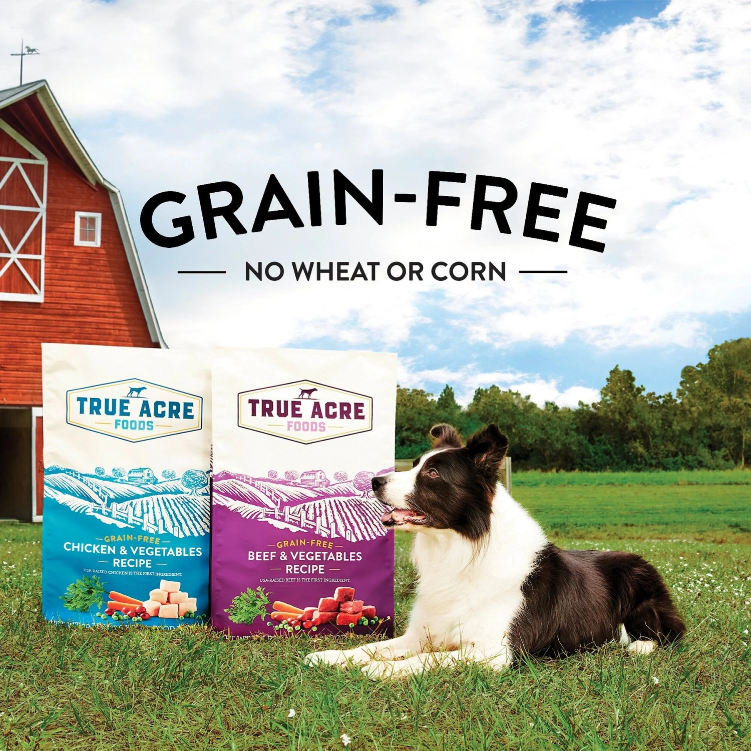 True Acre Foods Grain-Free Beef & Vegetable Dry Dog Food 8 True Acre Foods Grain-Free Beef & Vegetable Dry Dog Food - Image 6
