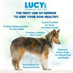 Lucy Pet Products Formulas For Life Grain-Free Duck, Pumpkin & Quinoa Formula Dry Dog Food -Blue Buffalo || ROYAL CANIN || Wellness Sales 151349 PT5. AC SS1800 V1581698319