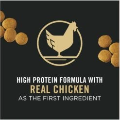 Purina Pro Plan Adult Large Breed Chicken & Rice Formula Dry Dog Food -Blue Buffalo || ROYAL CANIN || Wellness Sales 151474 PT2. AC SS1800 V1657910691