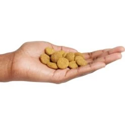 Purina Pro Plan Adult Large Breed Chicken & Rice Formula Dry Dog Food -Blue Buffalo || ROYAL CANIN || Wellness Sales 151474 PT4. AC SS1800 V1657910575