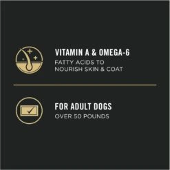Purina Pro Plan Adult Large Breed Chicken & Rice Formula Dry Dog Food -Blue Buffalo || ROYAL CANIN || Wellness Sales 151474 PT7. AC SS1800 V1657910572
