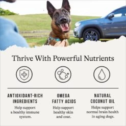 American Journey Senior Chicken & Sweet Potato Recipe Grain-Free Dry Dog Food -Blue Buffalo || ROYAL CANIN || Wellness Sales 151814 PT4. AC SS1800 V1665439200