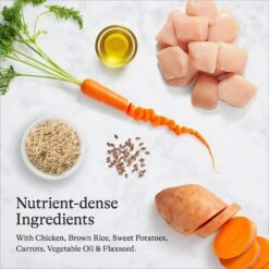 American Journey Protein & Grains Healthy Weight Chicken, Brown Rice & Vegetables Recipe Dry Dog Food -Blue Buffalo || ROYAL CANIN || Wellness Sales 151824 PT5. AC SS1800 V1680624917