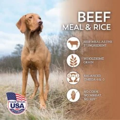 Wholesomes Beef Meal & Rice Formula Dry Dog Food -Blue Buffalo || ROYAL CANIN || Wellness Sales 152351 PT3. AC SS1800 V1626361293