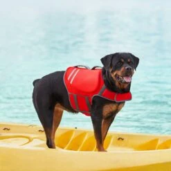 Frisco Neoprene Dog Life Jacket 18 Frisco Neoprene Dog Life Jacket -Blue Buffalo || ROYAL CANIN || Wellness Sales 152465 PT7. AC SS1800 V1631058734