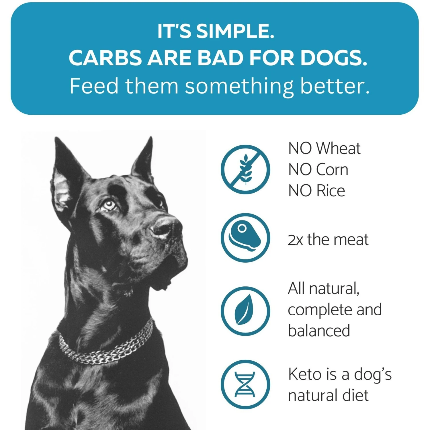 KetoNatural Ketona Chicken Recipe Adult Dry Dog Food 5 KetoNatural Ketona Chicken Recipe Adult Dry Dog Food - Image 3