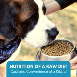 KetoNatural Ketona Chicken Recipe Adult Dry Dog Food 16 KetoNatural Ketona Chicken Recipe Adult Dry Dog Food -Blue Buffalo || ROYAL CANIN || Wellness Sales 152544 PT6. AC SS1800 V1669838105