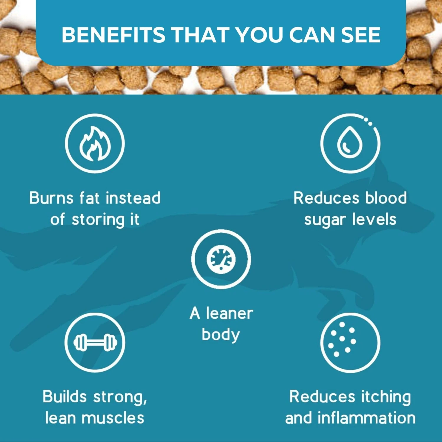 KetoNatural Ketona Chicken Recipe Adult Dry Dog Food 10 KetoNatural Ketona Chicken Recipe Adult Dry Dog Food - Image 8