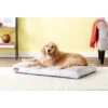 Brindle Soft Orthopedic Pillow Cat & Dog Bed With Removable Cover -Blue Buffalo || ROYAL CANIN || Wellness Sales 154111 MAIN. AC SS1800 V1568843628
