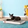 Brindle Plush Orthopedic Pillow Cat & Dog Bed With Removable Cover -Blue Buffalo || ROYAL CANIN || Wellness Sales 154128 MAIN. AC SS1800 V1566420449