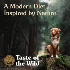 Taste Of The Wild Sierra Mountain Grain-Free Dry Dog Food -Blue Buffalo || ROYAL CANIN || Wellness Sales 154552 PT5. AC SS1800 V1641264400