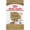 Royal Canin Breed Health Nutrition Chihuahua Adult 8+ Dry Dog Food 2 Royal Canin Breed Health Nutrition Chihuahua Adult 8+ Dry Dog Food -Blue Buffalo || ROYAL CANIN || Wellness Sales 154776 MAIN. AC SS1800 V1695156230