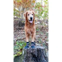 Bark Brite All Weather Reflective Neoprene Dog Boots, 4 Count -Blue Buffalo || ROYAL CANIN || Wellness Sales 155000 PT5. AC SS1800 V1613689593