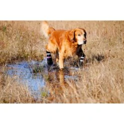 Bark Brite All Weather Reflective Neoprene Dog Boots, 4 Count -Blue Buffalo || ROYAL CANIN || Wellness Sales 155000 PT6. AC SS1800 V1613695582