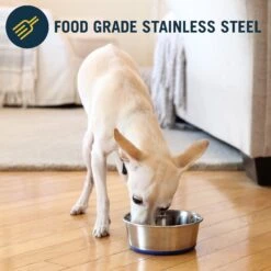 OurPets Durapet Premium Rubber-Bonded Stainless Steel Bowl -Blue Buffalo || ROYAL CANIN || Wellness Sales 155067 PT3. AC SS1800 V1638833250