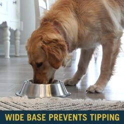 OurPets Durapet Premium Rubber-Bonded Stainless Steel No-Tip Bowl 12 OurPets Durapet Premium Rubber-Bonded Stainless Steel No-Tip Bowl -Blue Buffalo || ROYAL CANIN || Wellness Sales 155074 PT3. AC SS1800 V1638843172