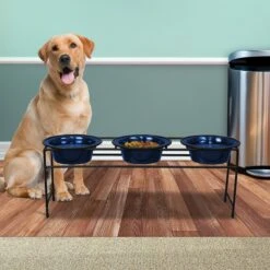 Platinum Pets Modern Triple Diner Elevated Wide Rimmed Dog & Cat Bowl 10 Platinum Pets Modern Triple Diner Elevated Wide Rimmed Dog & Cat Bowl -Blue Buffalo || ROYAL CANIN || Wellness Sales 155508 PT4. AC SS1800 V1628181087