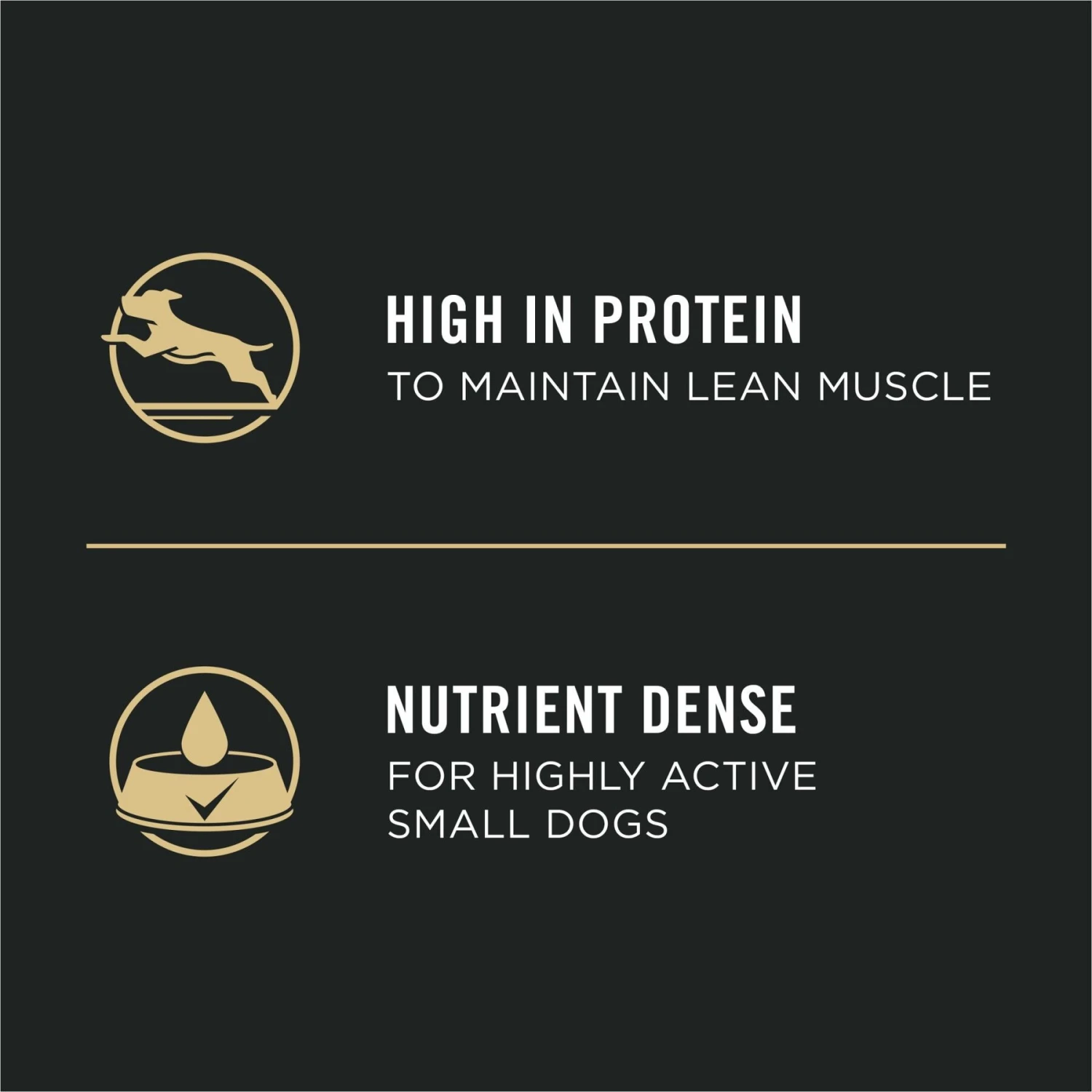 Purina Pro Plan Focus Small Breed Beef Entree Grain-Free Wet Dog Food 5 Purina Pro Plan Focus Small Breed Beef Entree Grain-Free Wet Dog Food - Image 3