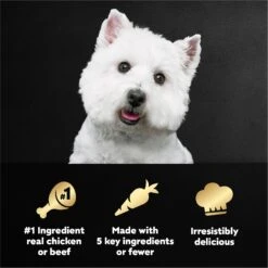 Cesar Simply Crafted Variety Pack Chicken, Carrots, Potatoes & Peas & Beef, Chicken, Purple Potatoes, Green Beans & Red Rice Adult Wet Dog Food Topper -Blue Buffalo || ROYAL CANIN || Wellness Sales 156811 PT7. AC SS1800 V1695674578