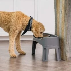 IRIS USA Elevated Dog Feeder With Attachable Feet 11 IRIS USA Elevated Dog Feeder With Attachable Feet -Blue Buffalo || ROYAL CANIN || Wellness Sales 156889 PT2. AC SS1800 V1598660494