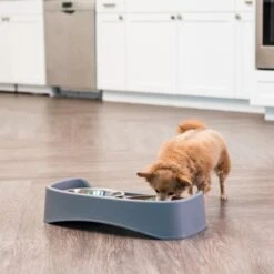 IRIS USA Elevated Dog Feeder With Attachable Feet 12 IRIS USA Elevated Dog Feeder With Attachable Feet -Blue Buffalo || ROYAL CANIN || Wellness Sales 156889 PT3. AC SS1800 V1598650940
