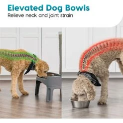 IRIS USA Elevated Dog Feeder With Attachable Feet 14 IRIS USA Elevated Dog Feeder With Attachable Feet -Blue Buffalo || ROYAL CANIN || Wellness Sales 156889 PT5. AC SS1800 V1552318325