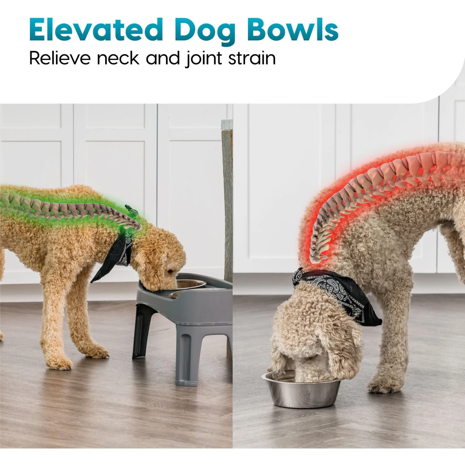 IRIS USA Elevated Dog Feeder With Attachable Feet 8 IRIS USA Elevated Dog Feeder With Attachable Feet - Image 6